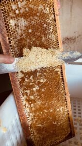 Préparation du miel